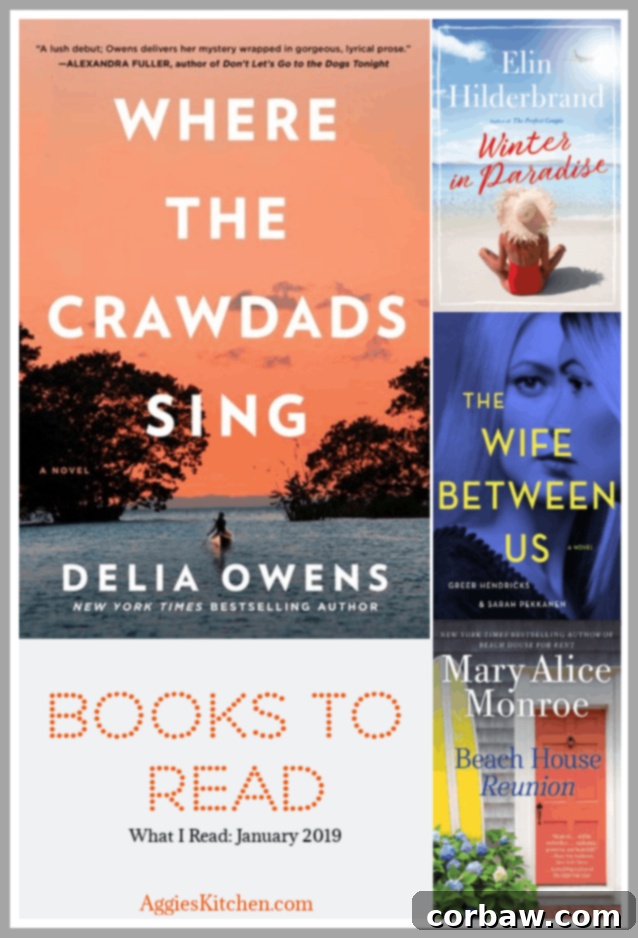 A person holding a book in a cozy setting, symbolizing the joy of reading in January