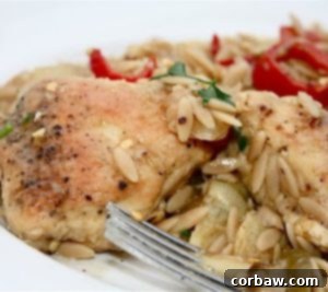 A plate of chicken with artichokes and orzo