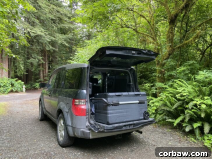 Adventure-Ready Cooling: Newair 115 Qt. Portable 12V Electric Cooler Review 2 Newair cooler in back of car at campground