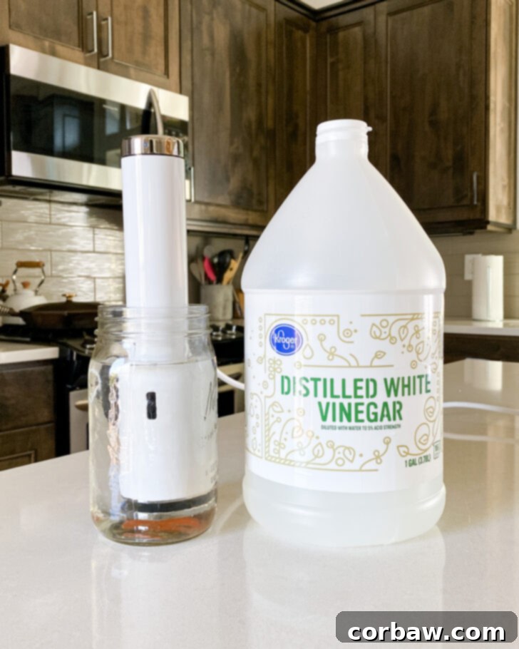 Breville Joule Sous Vide The Ultimate Review 2 Joule Immersion Circulator in jar of vinegar for cleaning.
