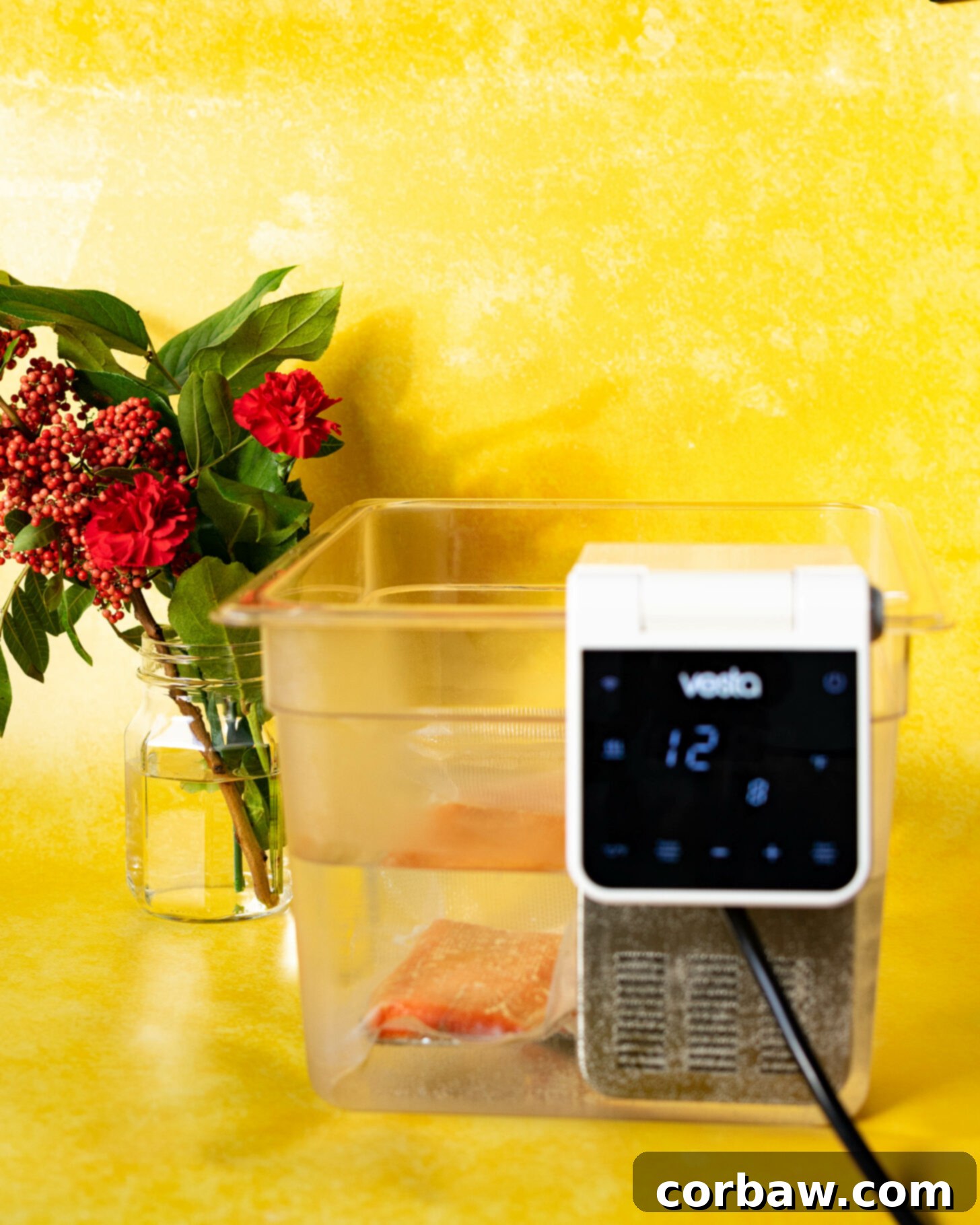 Sous Vide ile Yemek Hazırlığınızı Kolaylaştırın 2 What is Sous Vide? A Beginner’s Guide. - A Duck’s Oven