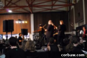 Live band performing at the KLCC Microbrew Festival