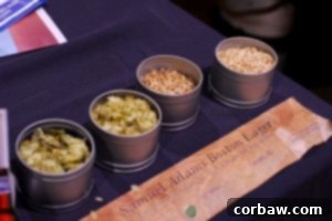 Sam Adams display of hops and grains at a microbrew festival