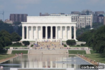 Scenic view of a charming Washington D.C. street lined with historic brownstone buildings