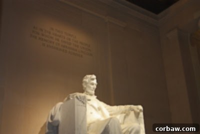 Visitors admiring a contemporary art installation within a D.C. museum, showcasing diverse collections