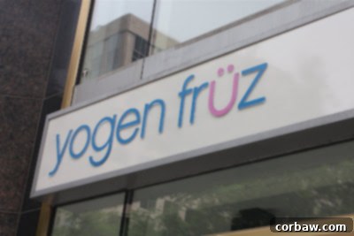 A delectable cup of Yogen Fruz frozen yogurt, freshly blended with various fruit toppings