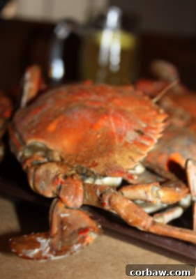 Close-up view of a perfectly steamed blue crab, showcasing its vibrant color and texture
