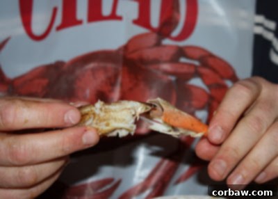 A diner enjoying the messy but delicious experience of eating steamed blue crabs at a table