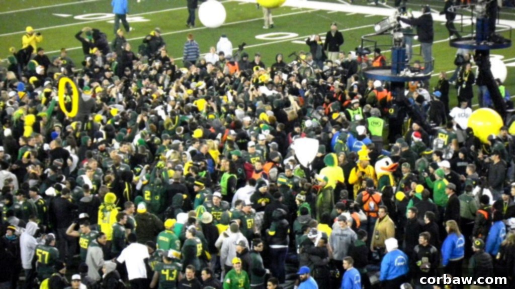Jubilant fans celebrating on the field after the championship game