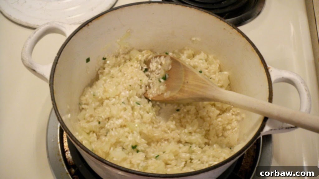 Arborio rice toasting in a Dutch oven with sautéed onions and garlic, becoming translucent.