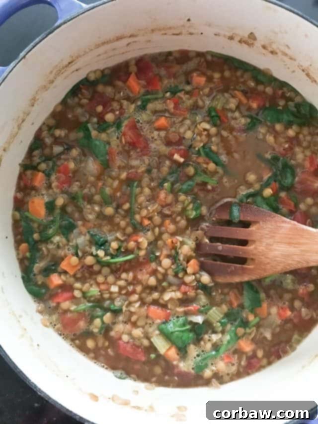 Hearty Italian Tomato Lentil Spinach Soup 3 Large soup pot filled with Italian lentil and vegetable soup, simmering gently