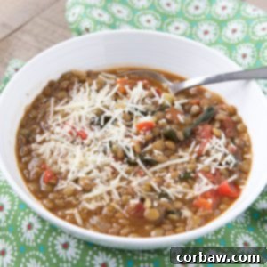 A bowl of Italian Tomato and Lentil Soup with Spinach