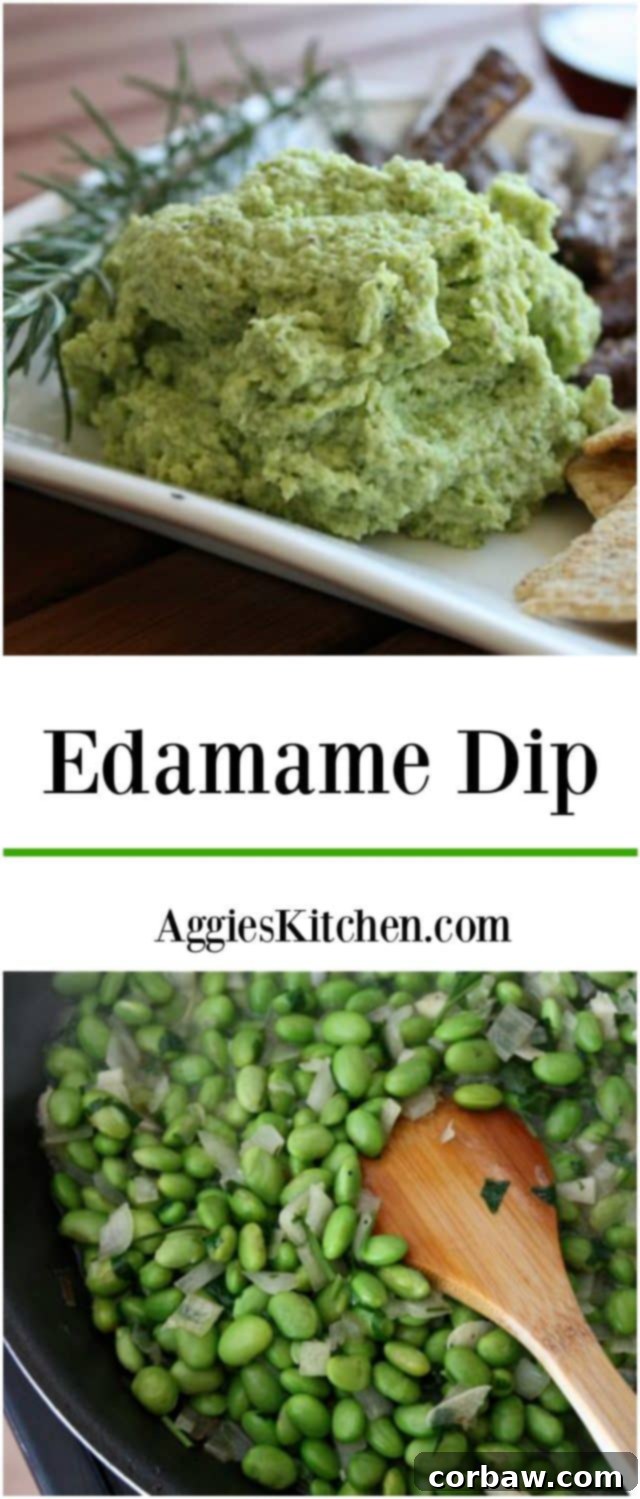 A beautifully presented edamame dip with an assortment of dippers including multi-grain crackers, fresh cucumber slices, and bell pepper strips. The setting suggests a casual, healthy gathering. This recipe is a family pleaser.