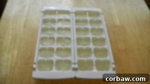Ice cube tray filled with white wine, ready for freezing