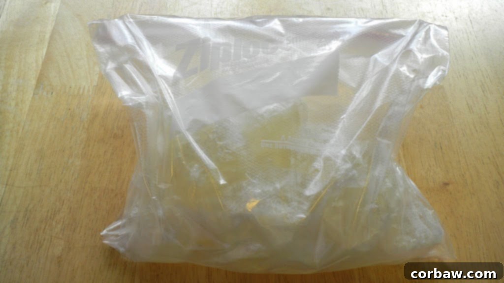 A collection of frozen wine cubes, ready for culinary use