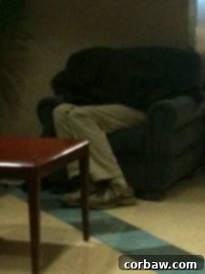 Students sleeping in campus cafe during dead week