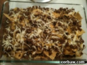 Venison Nachos, a quick and easy student meal