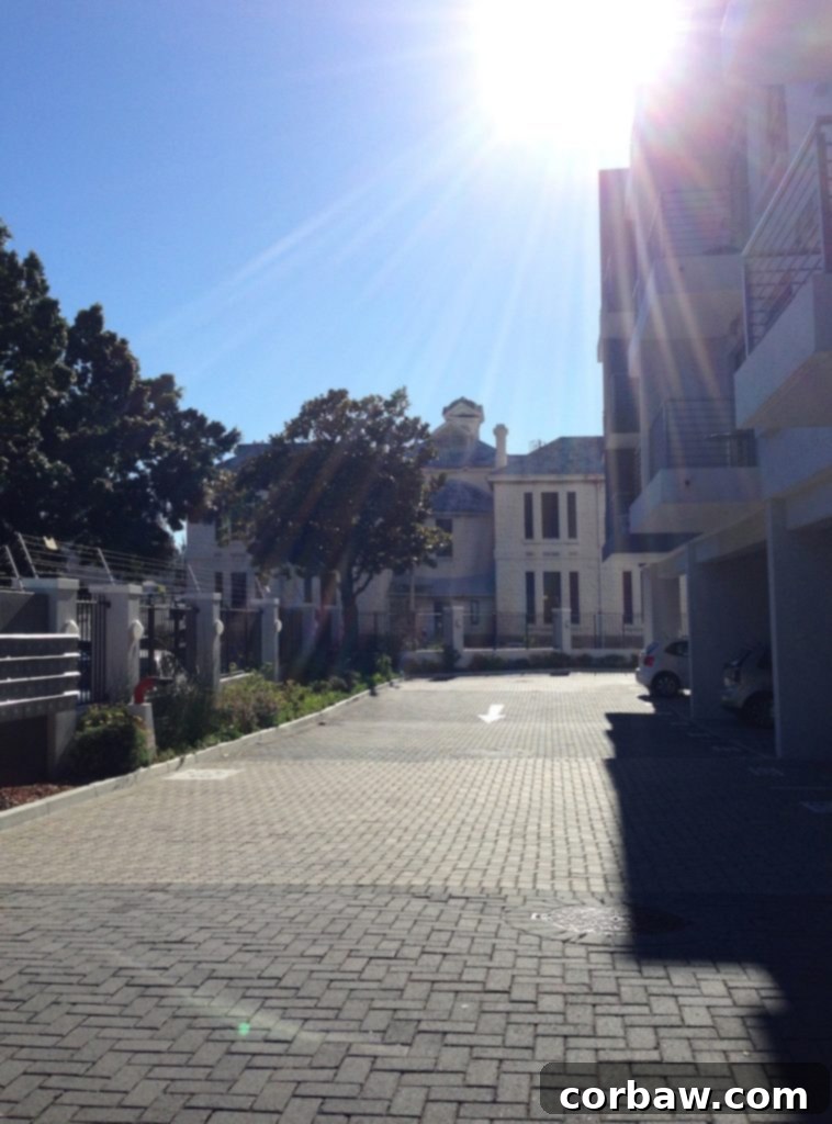 A view of the historic Cape-Dutch style library from inside the complex.