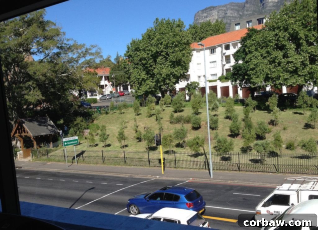 An inspiring view from the gym treadmill, overlooking the Rondebosch landscape.
