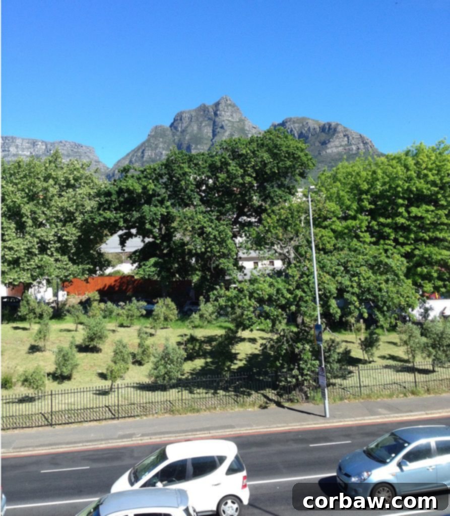 Another expansive view captured from within the gym, highlighting the scenic surroundings.
