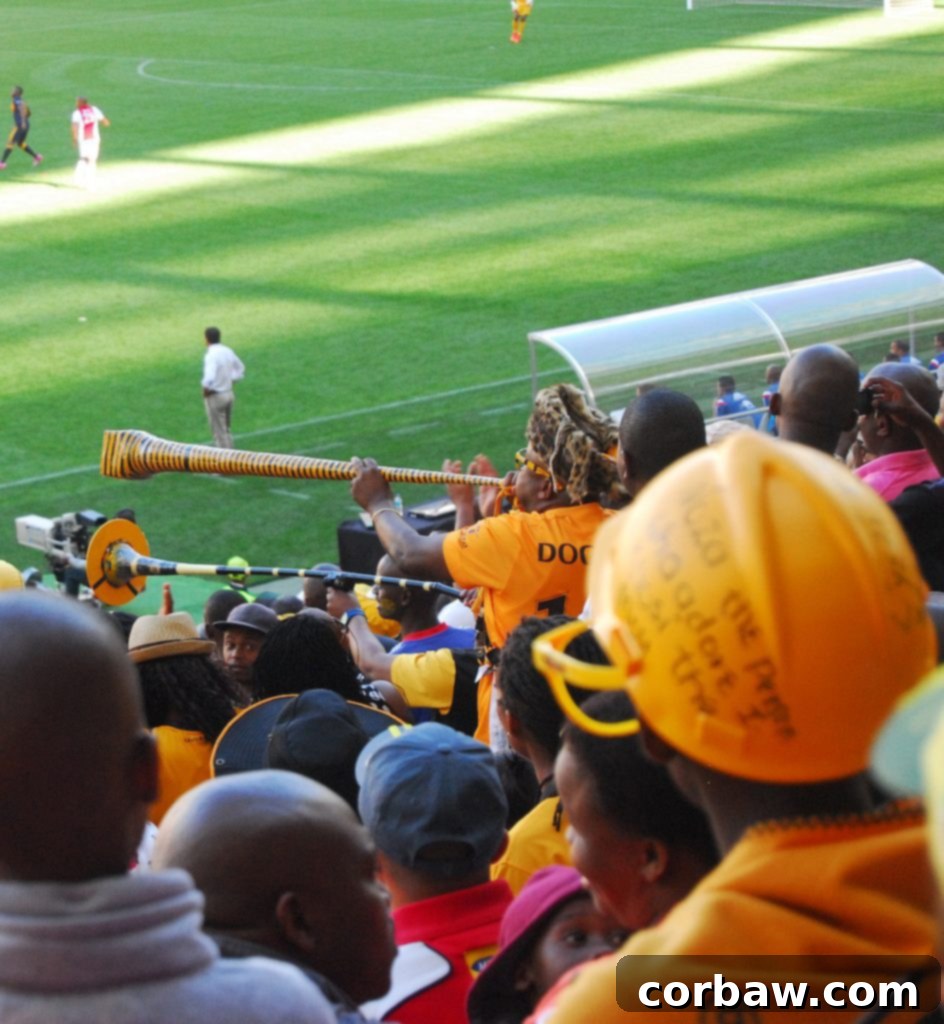 Cape Town Stadium's Sunday Soccer Spectacle 11 A Duck's Oven: Soccer at Cape Town Stadium. A recap of the Ajax vs. Kaiser Chiefs match in Cape Town, South Africa!