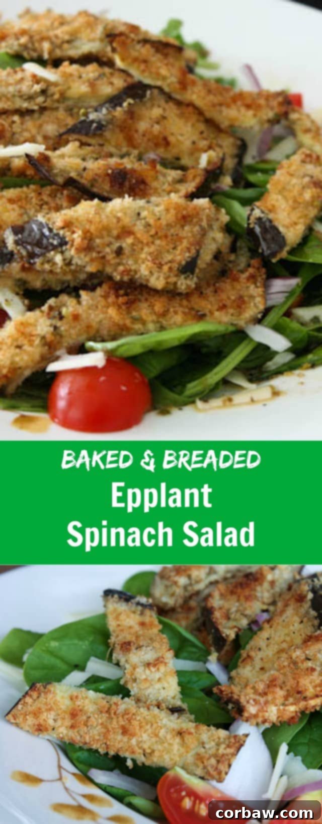 Spinach and Eggplant Salad Baked and Breaded Eggplant topped Spinach Salad with mozzarella and tomatoes - this is the Italian Salad of my dreams!