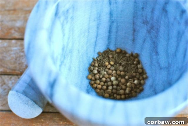Toasted cumin and coriander seeds in a mortar and pestle