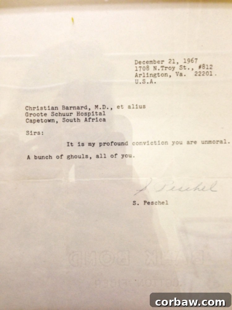 Heart of Cape Town Museum from A Duck's Oven