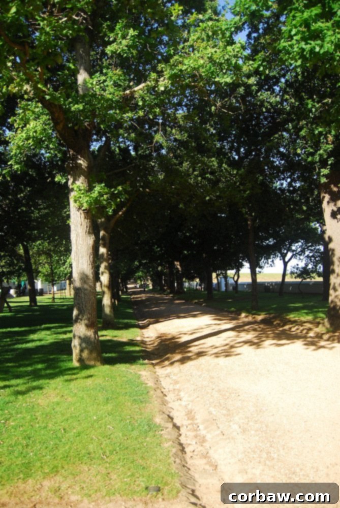 Scenic Landscape of Groot Constantia Vineyards and Rolling Hills