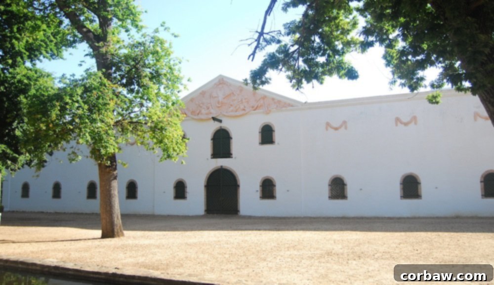 Groot Constantia Manor House with Lush Gardens