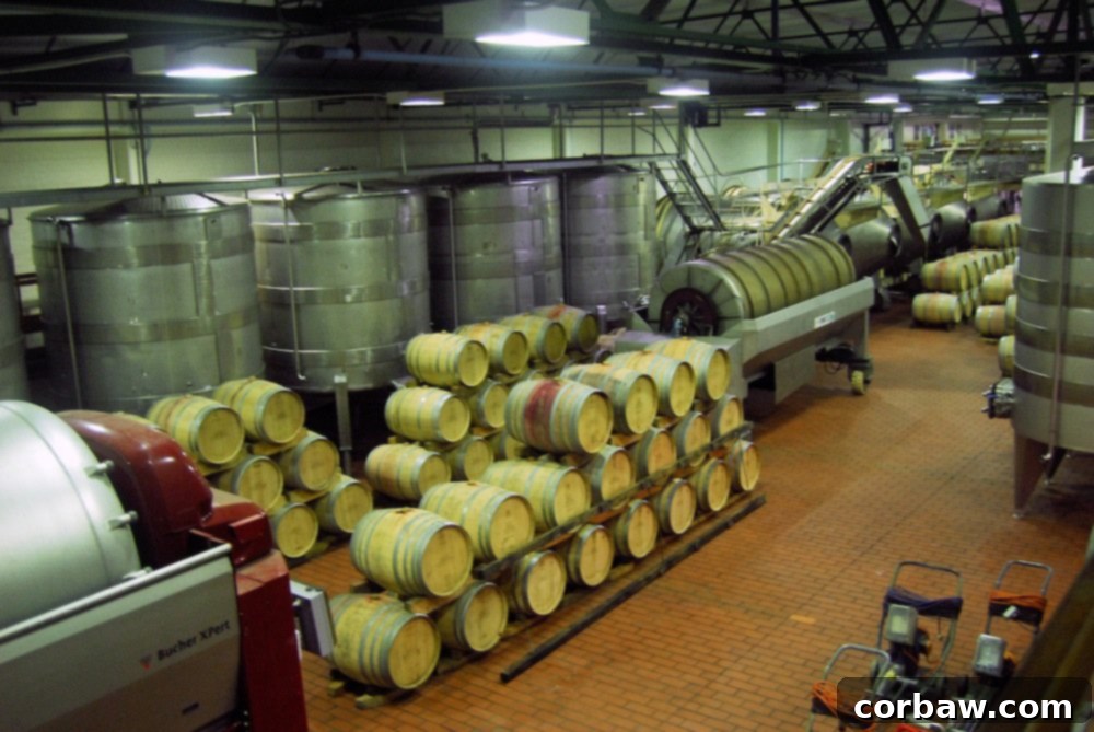 Inside Groot Constantia Cellar: Rows of Aging Wine Barrels
