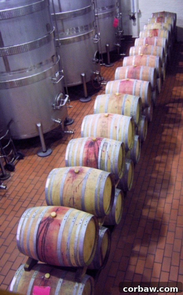 Groot Constantia Wine Tanks for White Wine Fermentation and Storage