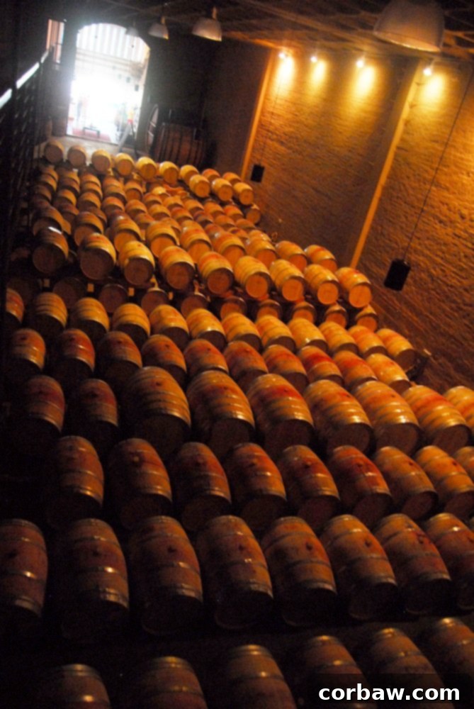 Wine Tasting Flight at Groot Constantia Wine Estate