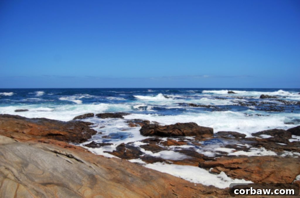 Turquoise waters and pristine sands of a South African West Coast beach