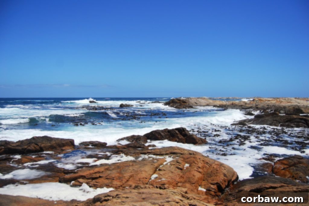Dramatic coastline with waves crashing, showcasing the natural beauty of the reserve