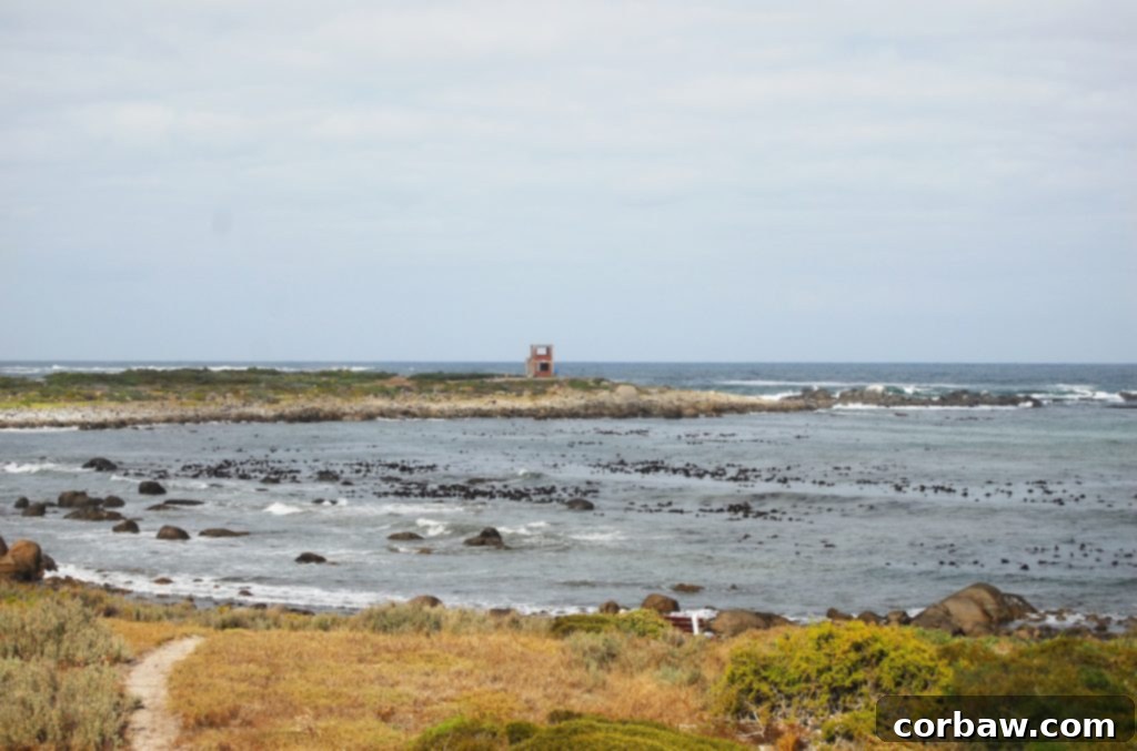 Another beautiful ocean vista from the lodge room, showing a different angle of Jacob's Bay