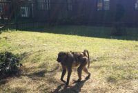 Moving On From South Africa