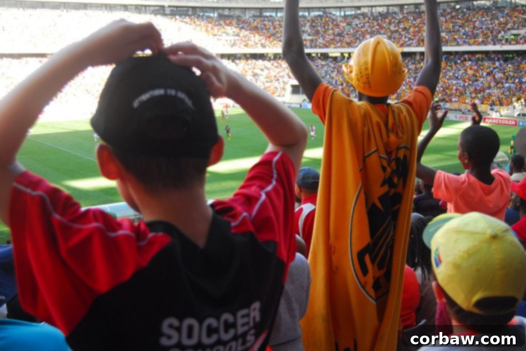 Excited fans at a soccer match in Cape Town Stadium
