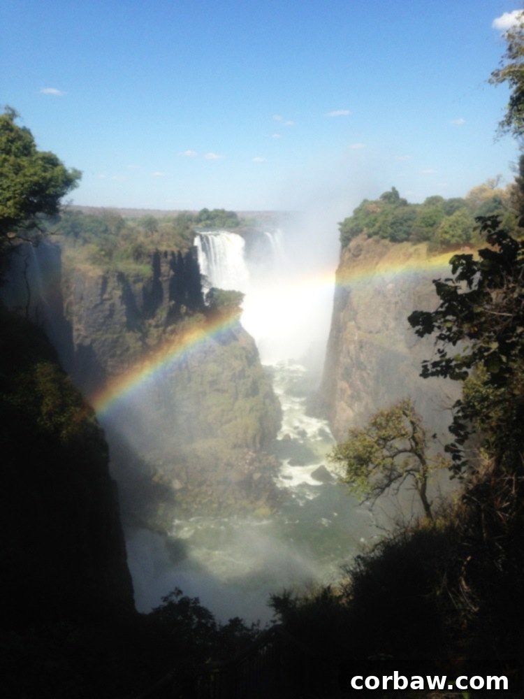 Another breathtaking perspective of the majestic Victoria Falls