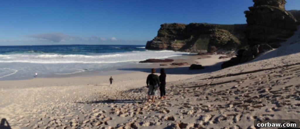 Panoramic view of Diaz Beach, showing its expansive coastline