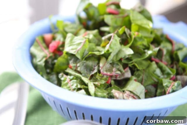 Rustic Swiss Chard and White Bean Pasta 4 Nutrient-Rich Vegetarian Meal: Swiss Chard with White Beans in Tomato Sauce served with Whole Wheat Pasta