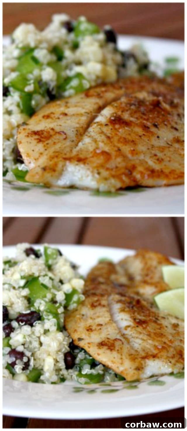 plate of cooked fish with a side of quinoa, black bean, and corn salad