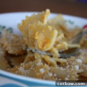 Velvety Pumpkin Parmesan Farfalle 2 Delicious Bowties with Creamy Pumpkin and Parmesan