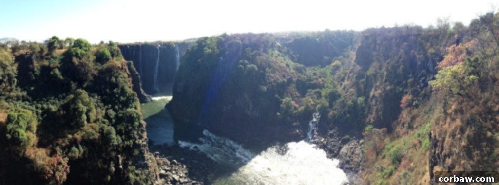 Panoramic view of Victoria Falls from the Victoria Falls Bridge, with mist rising from the gorge below.