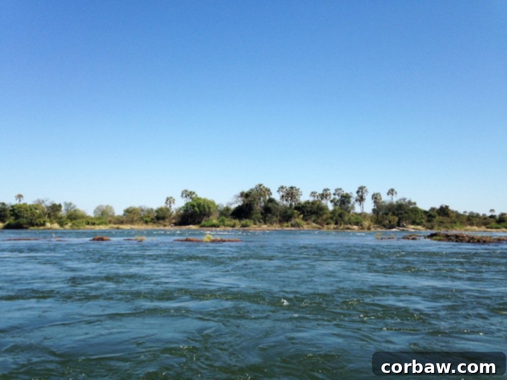 Fiancé posing for a selfie on the boat towards Livingstone Island, with the Zambezi River in the background.