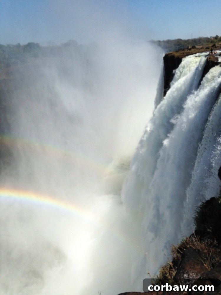 Distant view of Victoria Falls showing Devil's Pool with tiny figures of people swimming at the edge.