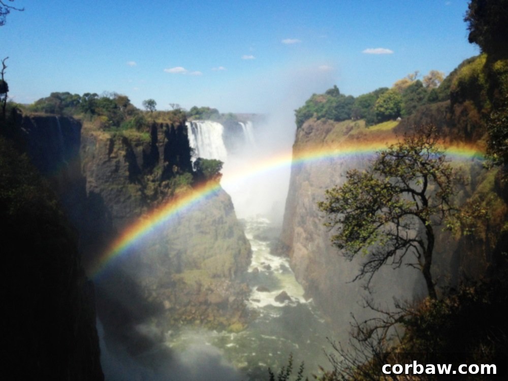 A section of Victoria Falls plunging into the deep chasm below, shrouded in mist and spray.