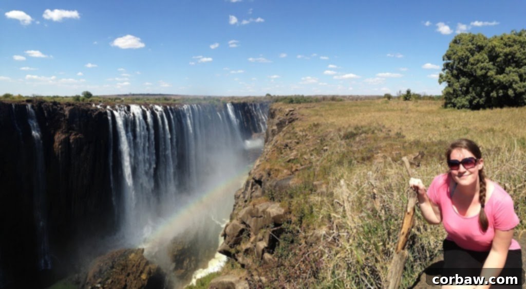 A wide-angle shot capturing the majesty of Victoria Falls and the surrounding lush vegetation sustained by the mist.