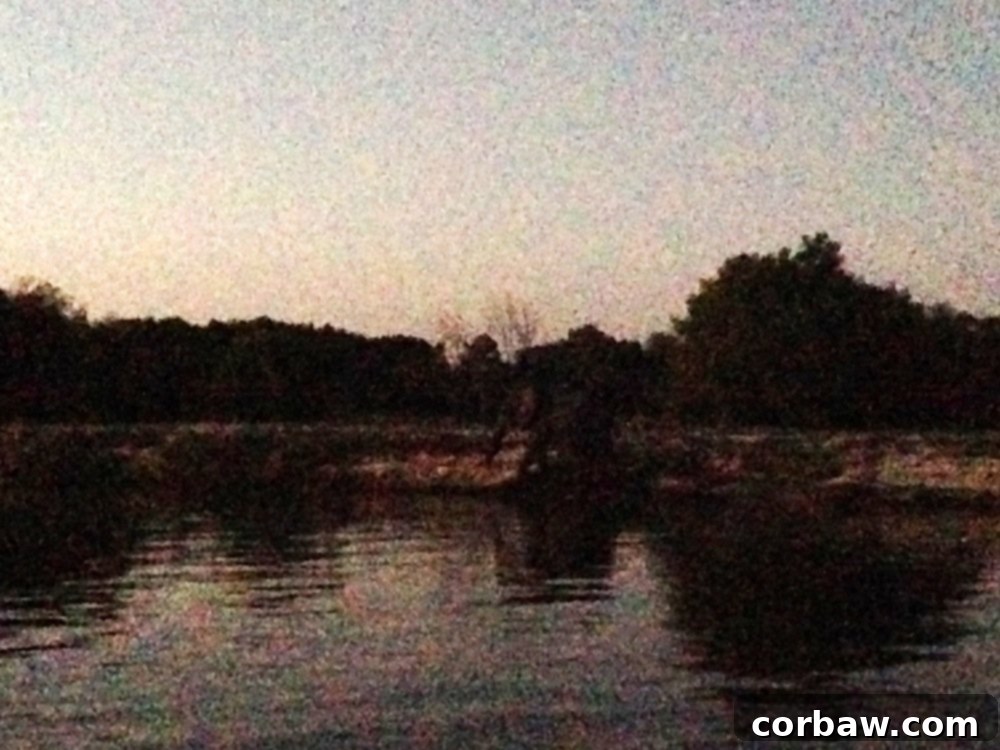 Silhouetted elephants on the bank of the Zambezi River at dusk, a magical wildlife encounter.