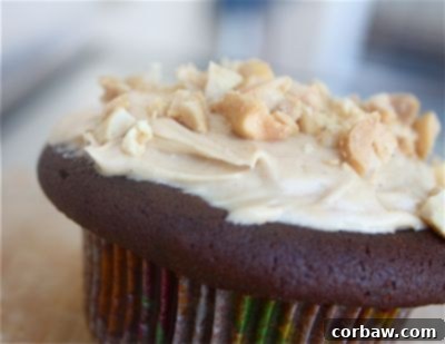 Ina’s Chocolate Cupcakes with Peanut Butter Frosting Close-up of Ina’s Chocolate Cupcakes with Peanut Butter Frosting - Decadent dessert inspiration.